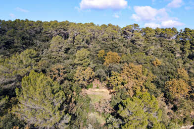 Terrain  118000 €