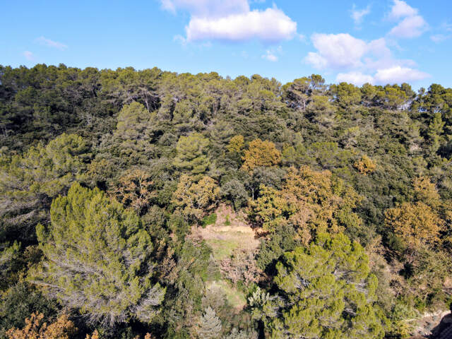 Terrain de 6 000 m2 boisé avec permis de construire accepté à 5 minutes d’Uzès — photo du bien
