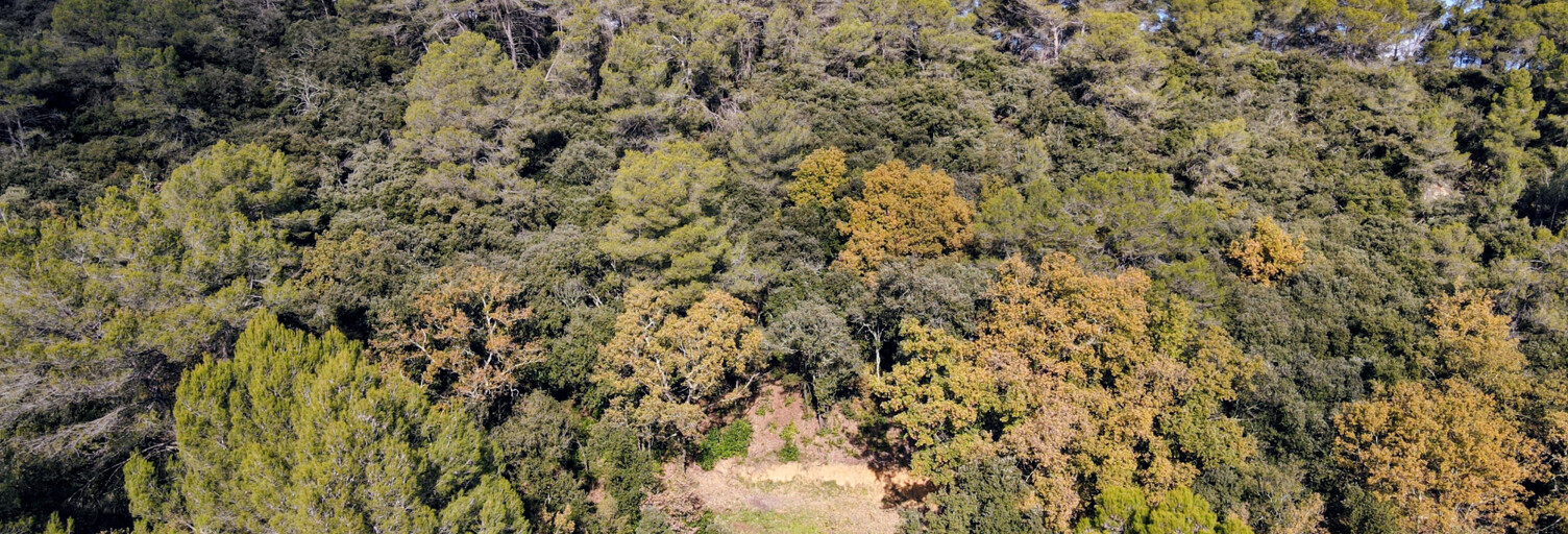 Terrain  6000 m² à vendre à Serviers-et-Labaume (30700)