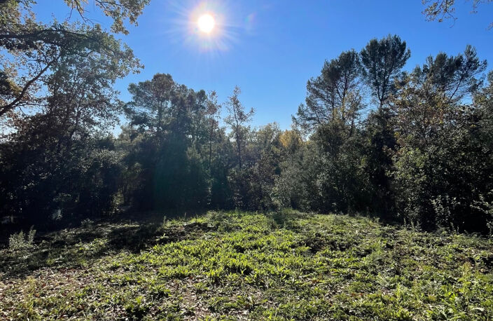 Terrain de 6 000 m2 boisé avec permis de construire accepté à 5 minutes d’Uzès — photo 3