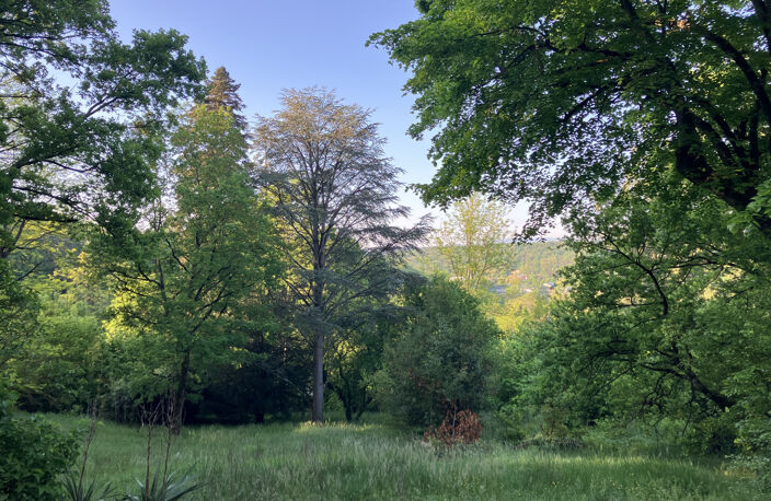 MAISON DE CHARME — photo 3
