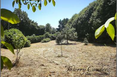 Terrain  80000 €