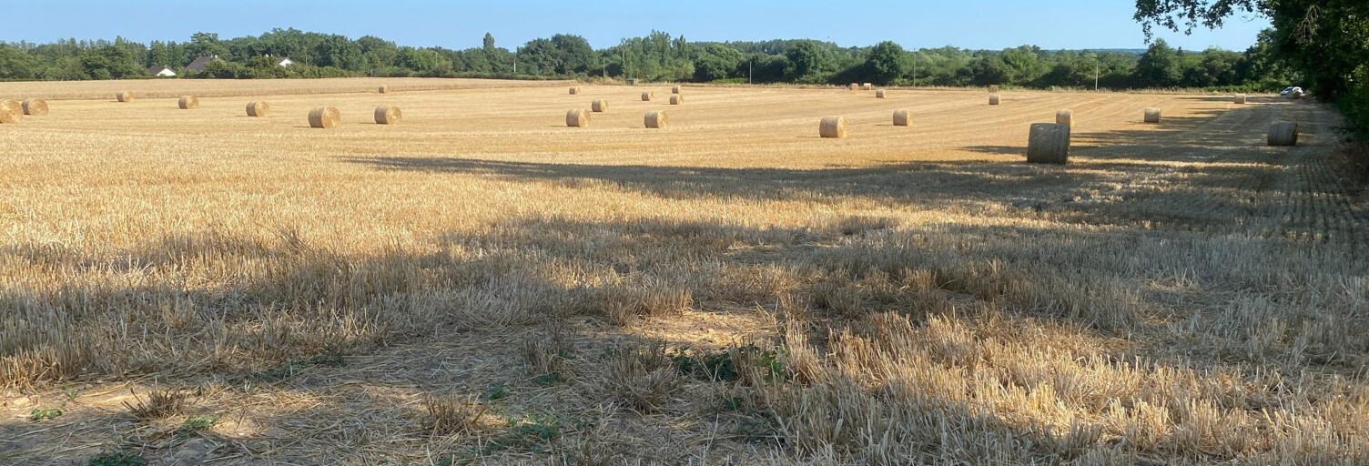 Terrain  90903 m² à vendre à Voivres-lès-le-Mans (72210)