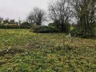 TERRAIN 600 M2 NON VIABILISE — photo 4