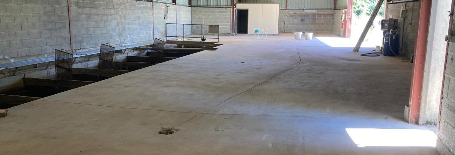 Commerce 1 Pièce 2618 m² à vendre à Saint-Sulpice-les-Feuilles (87160)