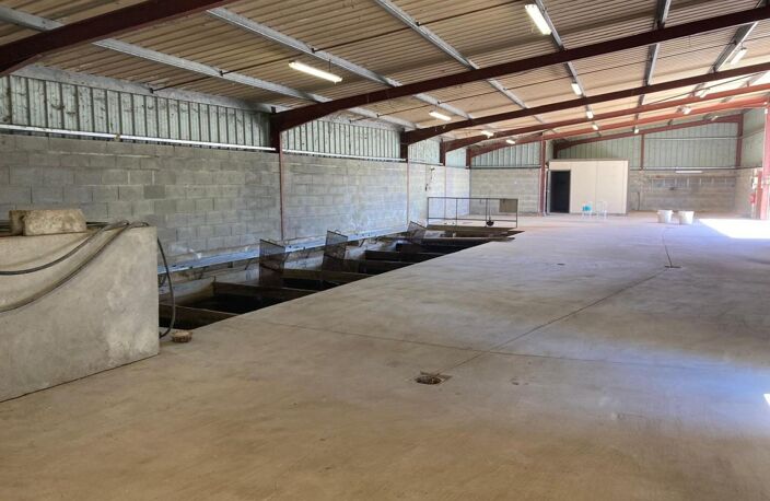 Hangar commercial très bon état et fonctionnel — photo 3