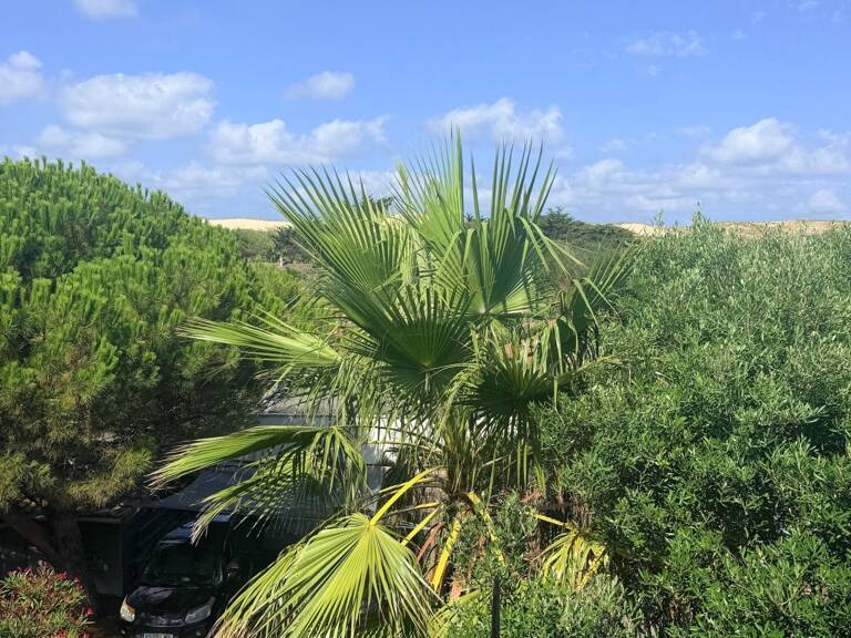 CAP FERRET  ADRESSE D'EXCEPTION, TOUT À PIED — photo 1