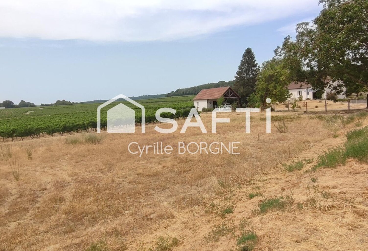 Terrain constructible 1 218 m² avec vue sur les vignes  Coteaux-sur-Loire — photo 1