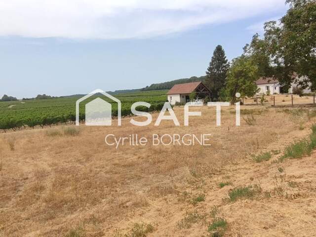 Terrain constructible 1 218 m² avec vue sur les vignes  Coteaux-sur-Loire — photo du bien