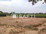 Terrain constructible 1 218 m² avec vue sur les vignes  Coteaux-sur-Loire — photo 2