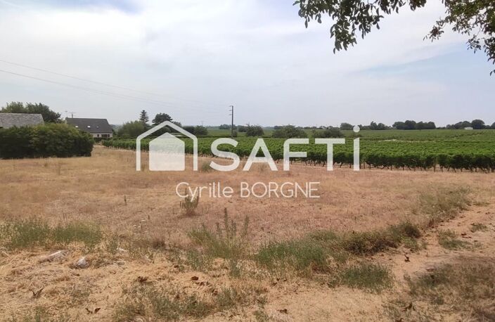 Terrain constructible 1 218 m² avec vue sur les vignes  Coteaux-sur-Loire — photo 2