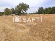 Terrain constructible 1 218 m² avec vue sur les vignes  Coteaux-sur-Loire — photo 3