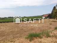 Terrain constructible 1 218 m² avec vue sur les vignes  Coteaux-sur-Loire — photo 4