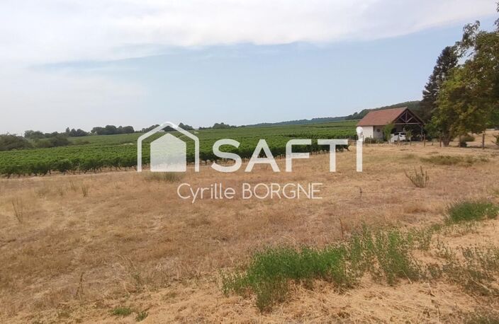 Terrain constructible 1 218 m² avec vue sur les vignes  Coteaux-sur-Loire — photo 4