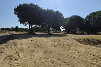 Terrain  239000 €