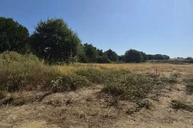 Terrain  114000 €