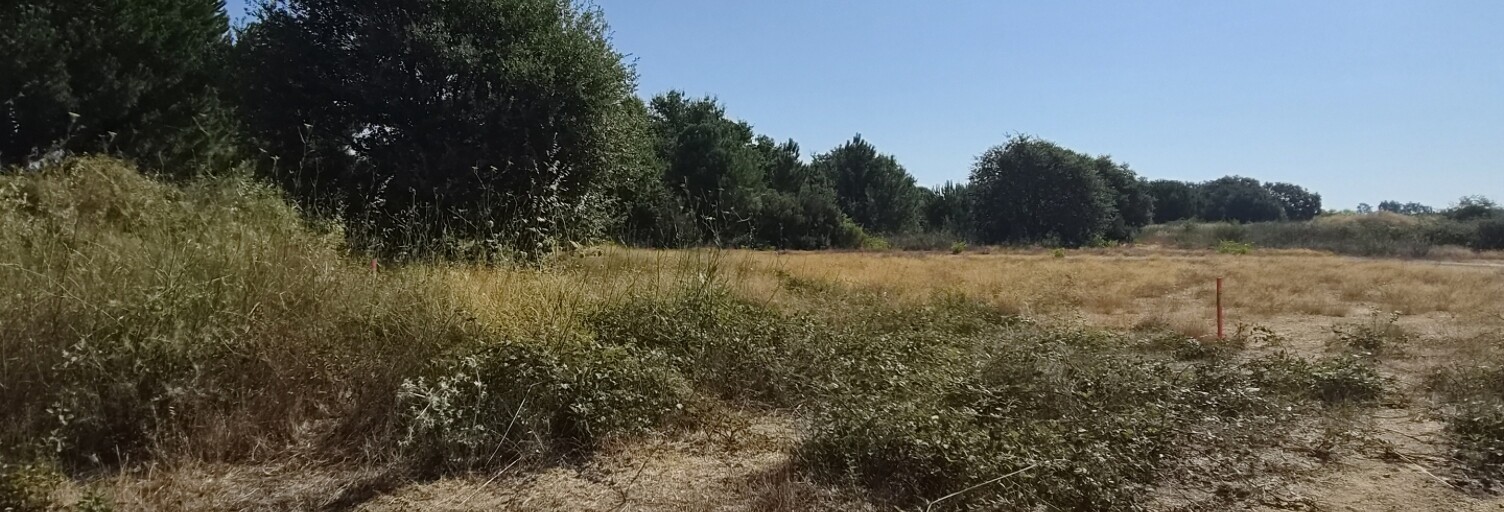 Terrain  222 m² à vendre à Latour-Bas-Elne (66200)