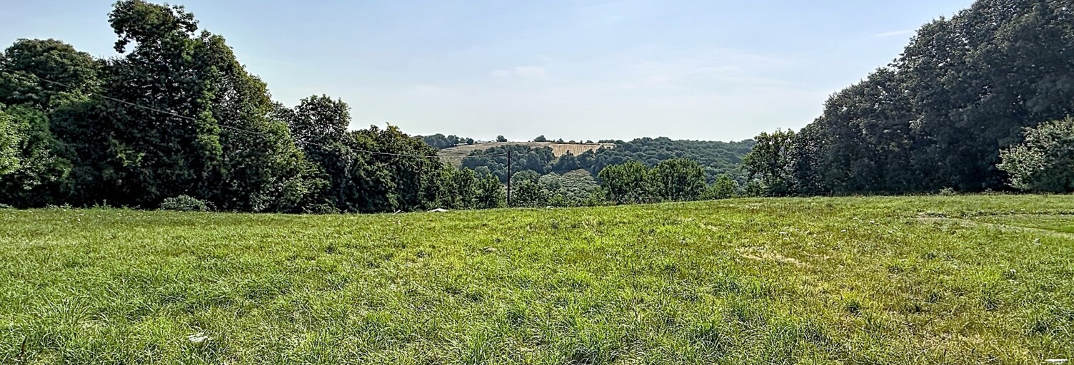 Terrain  2500 m² à vendre à Lalongue (64350)