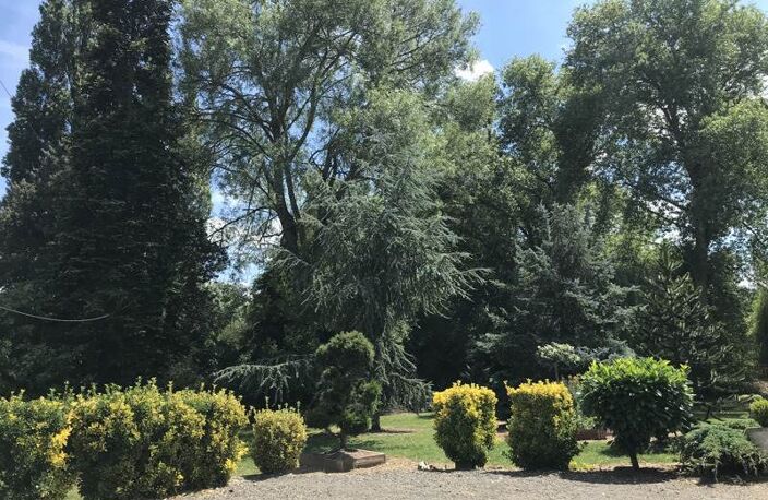 Maison de bourg de 4 pièces principales — photo 2