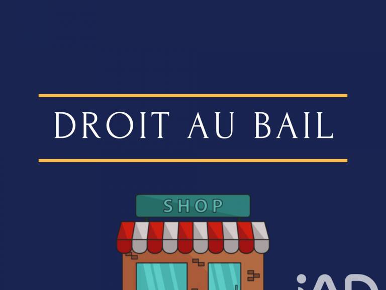 Vente Local commercial 48 m&sup2; — photo 1