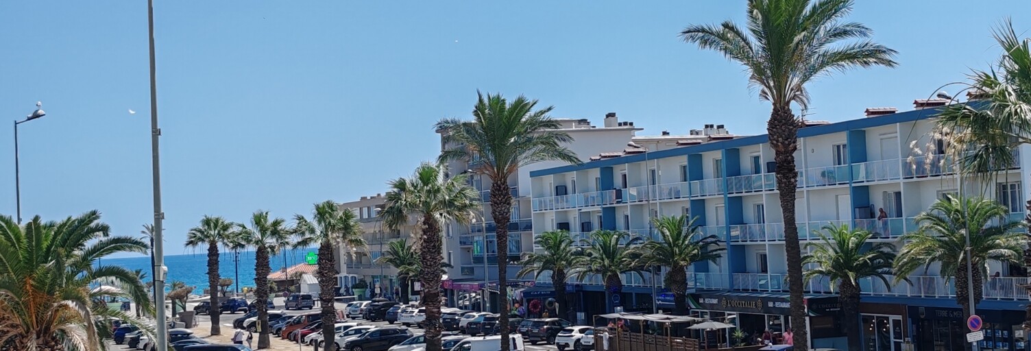 Appartement 1 Pièce 24 m² à vendre à Saint-Cyprien (66750)