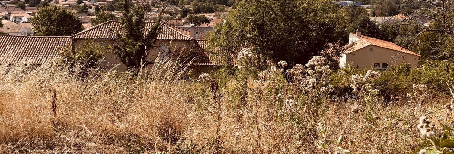 Terrain  1189 m² à vendre à Les Épesses (85590)