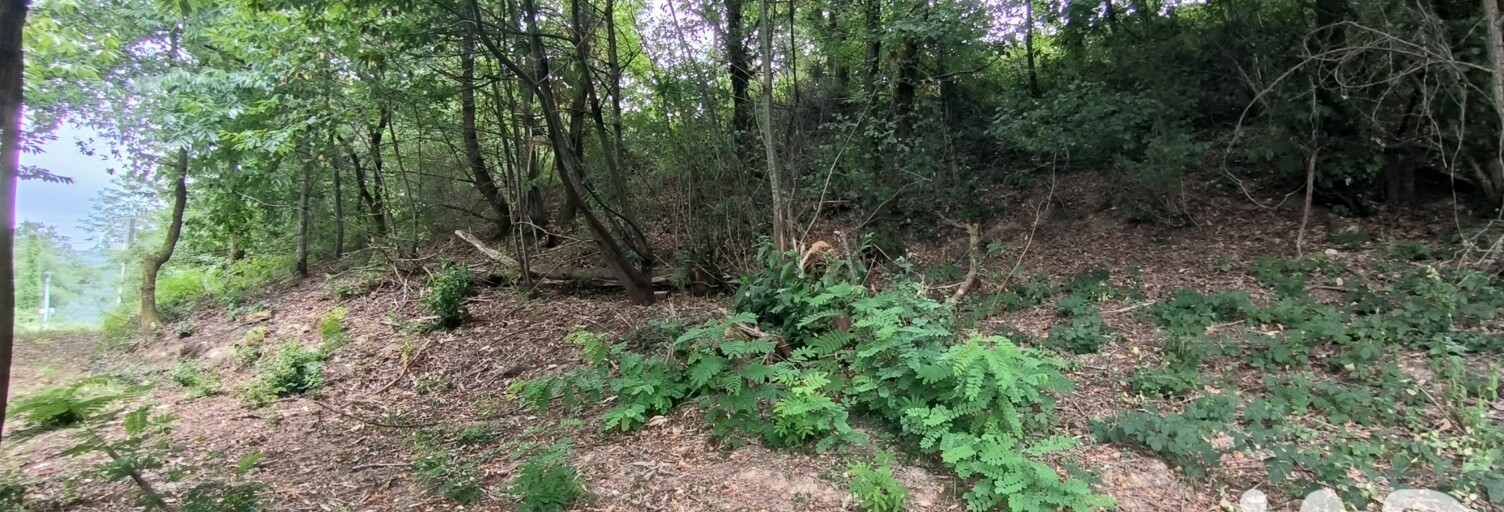 Terrain  5780 m² à vendre à Lagor (64150)