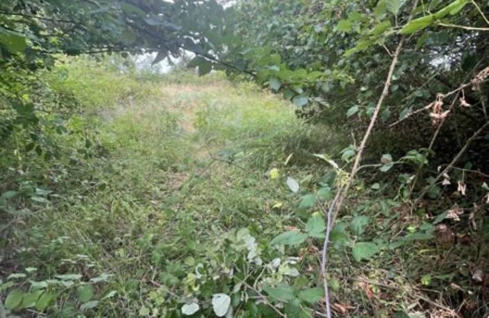Vente maison 1 pièce 90 m² Rochecorbon (37210) — photo 3