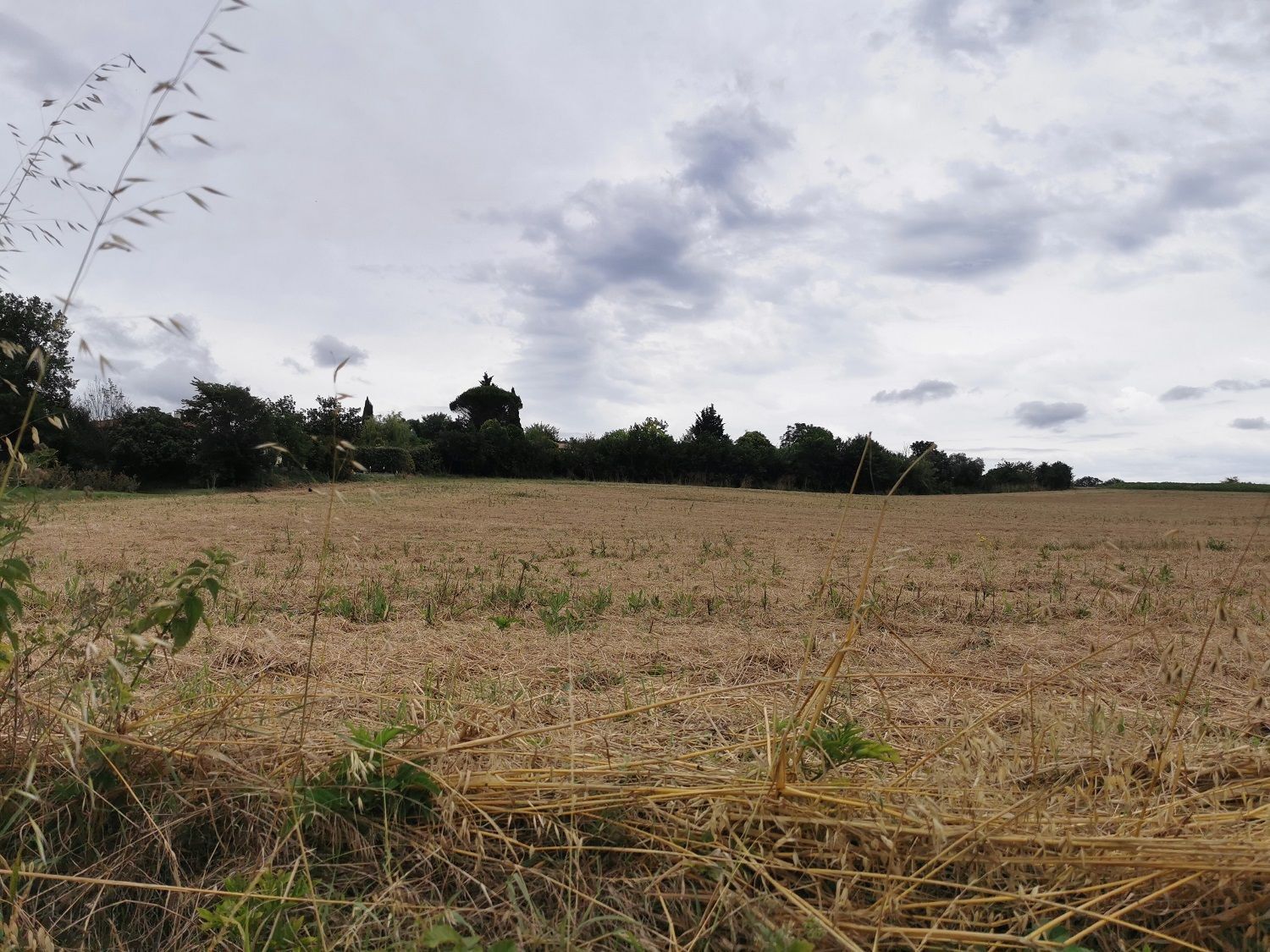 Terrain à bâtir de 560 m² à CORRONSAC (31)