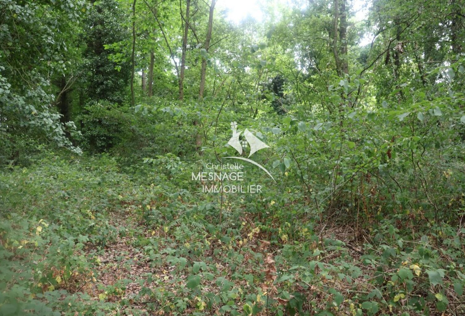 À vendre chez Christelle Mesnage immobilier. VAL-D'ARGUENON — photo 1