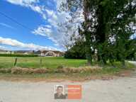 Cramans – Beau terrain constructible de 970 m² dans un environnement calme et verdoyant — photo 4