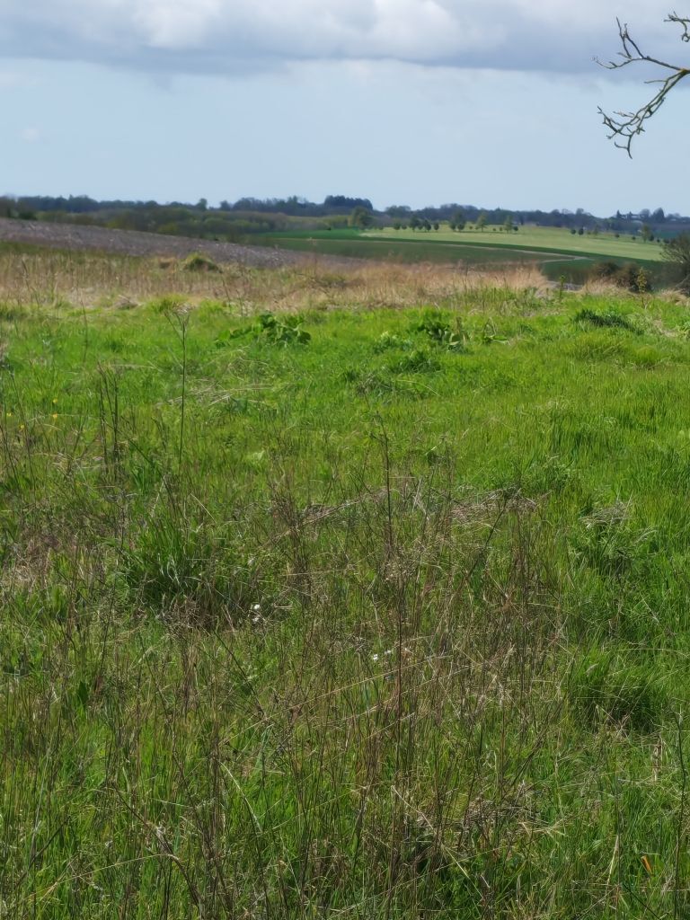 Terrain à bâtir de 664 m2 au prix de 61440 € à PREGUILLAC.