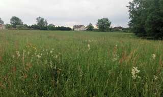 Terrain  1800 m² à vendre à Peyrignac (24210)