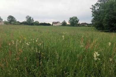 Terrain  30000 €
