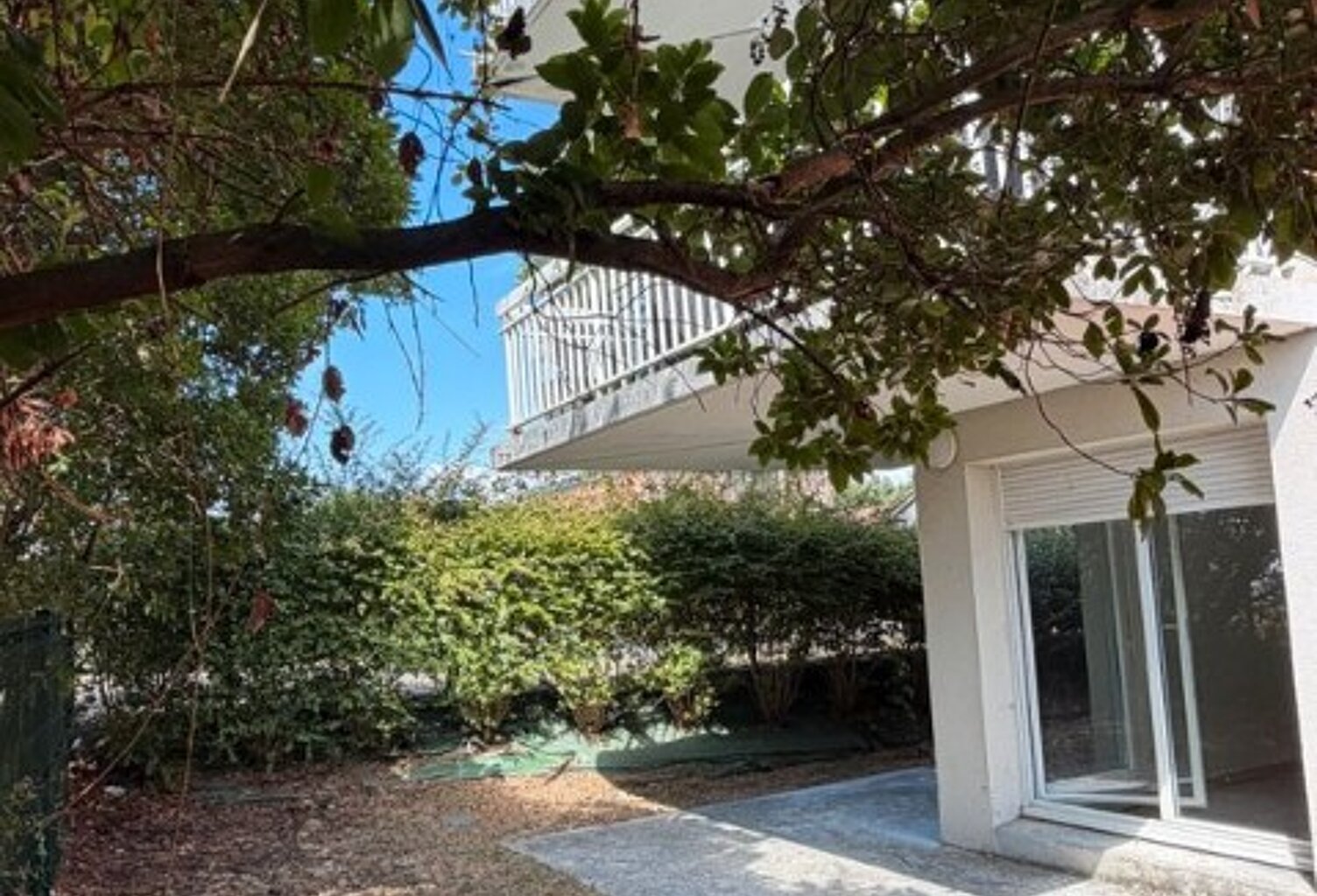 T2 — photo 1