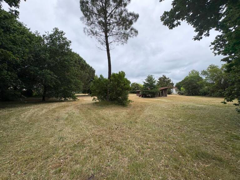 Terrain À Vendre — photo 1