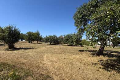 Terrain  55000 €