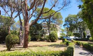 Appartement 3 Pièces 71 m² à vendre à Saint-Raphaël (83700)
