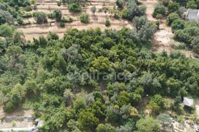 Terrain  690000 €