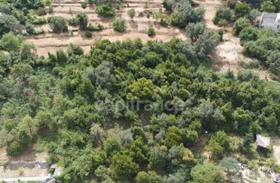 Terrains à vendre de 3160 m² FALICON (06) — photo du bien
