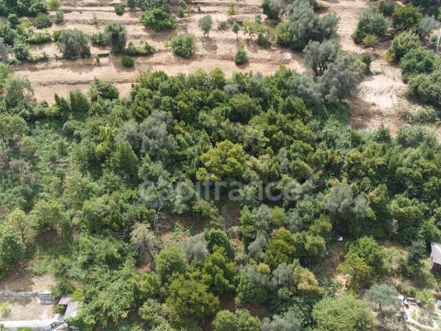 Terrains à vendre de 3160 m² FALICON (06) — photo du bien