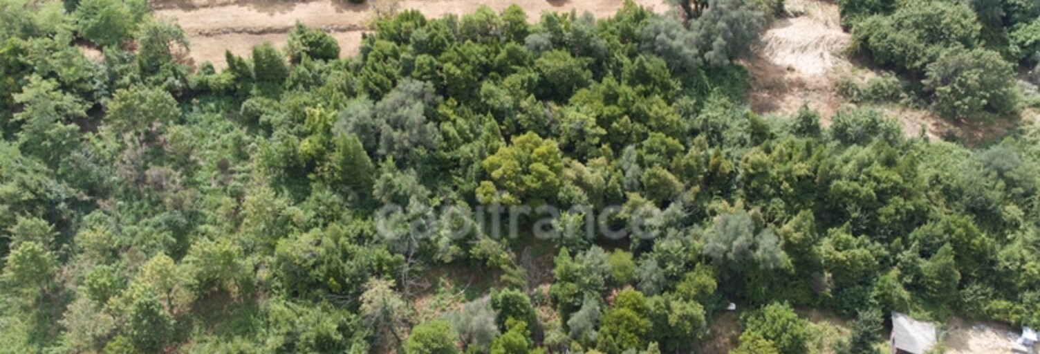 Terrain  3160 m² à vendre à Falicon (06950)