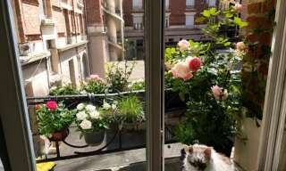 Appartement 3 Pièces 54 m² à vendre à La Madeleine (59110)
