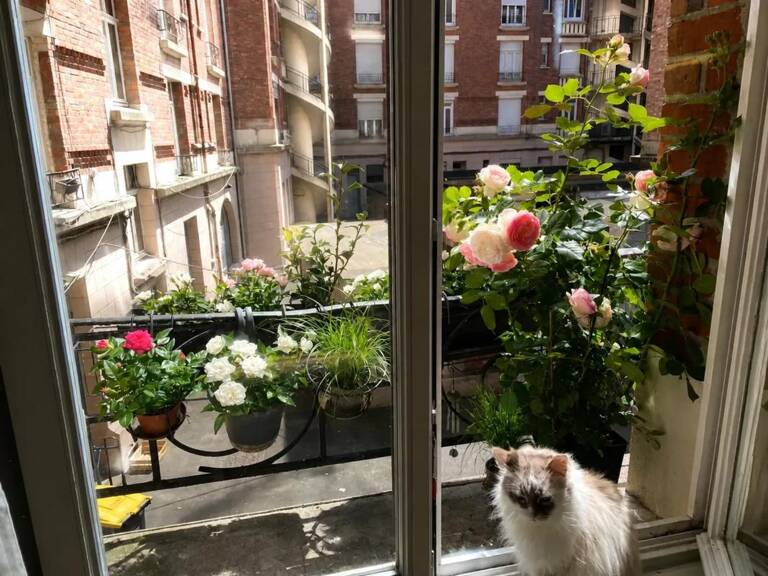 Appartement T2 bis de 54 m² à La Madeleine — photo 1