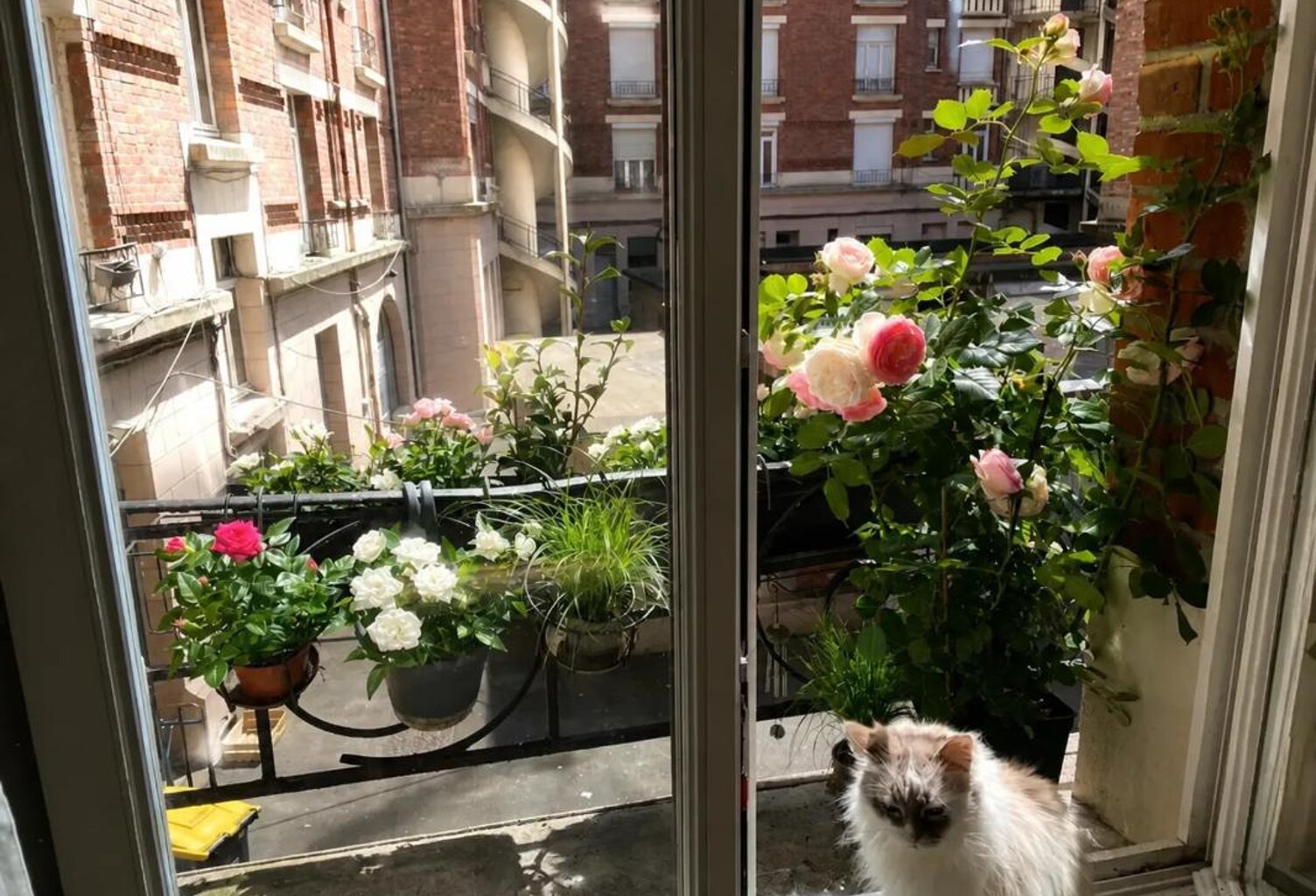 Appartement T2 bis de 54 m² près de Lille — photo 1