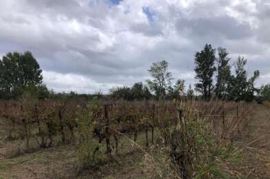 Terrain  60000 €