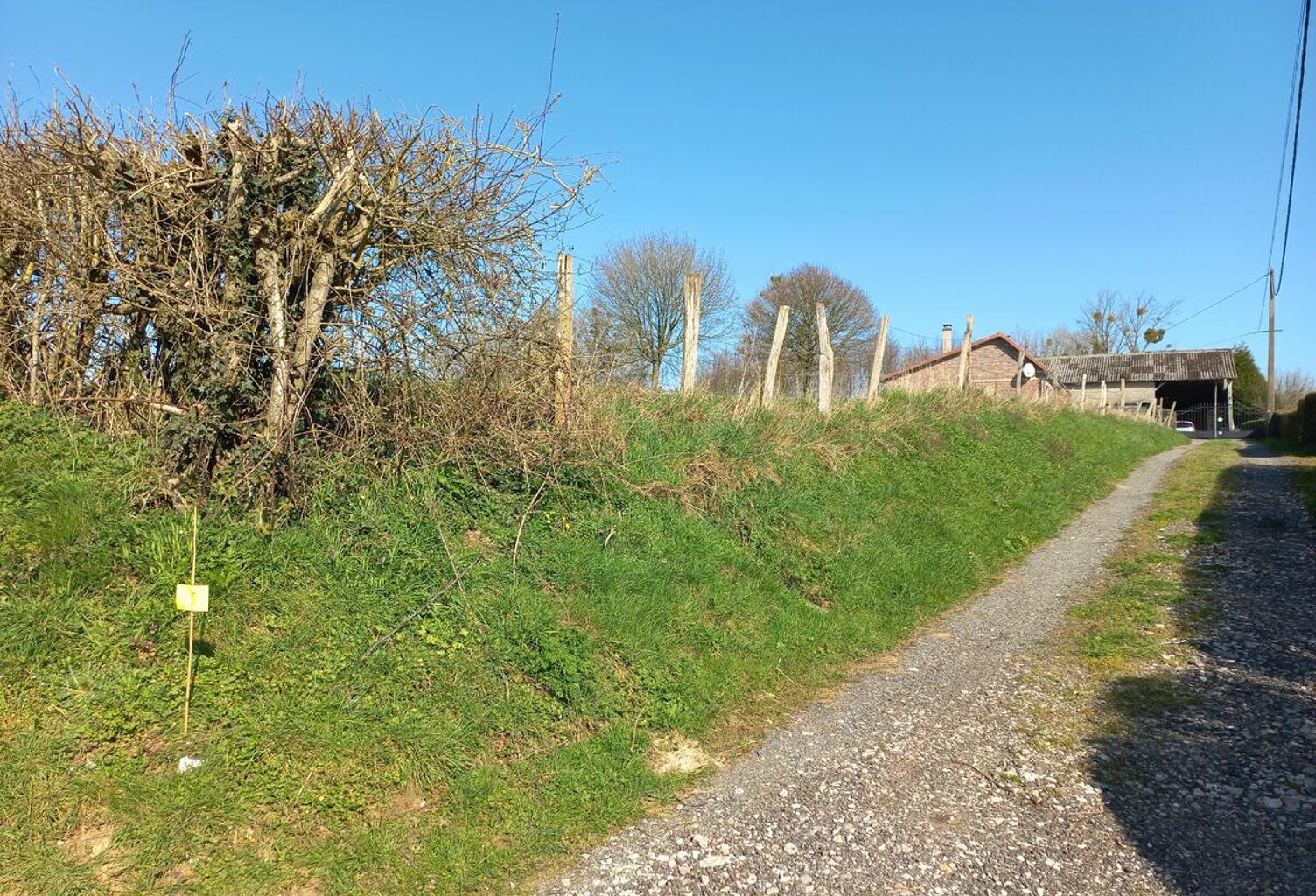 Terrain — photo 1