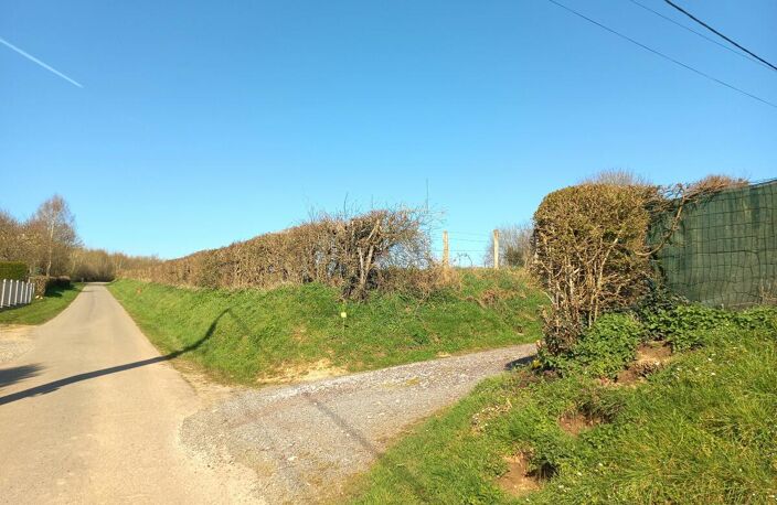 Terrain — photo 2