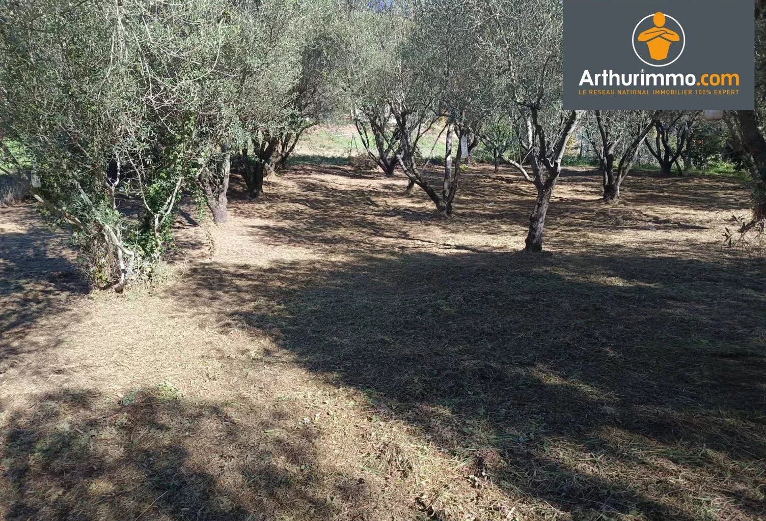 Terrain avec permis de construire - Petreto Bicchisano — photo 1