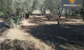 Terrain  1374 m² à vendre à Petreto-Bicchisano (20140)